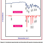 Vol18No1_Ult_Roh_fig5